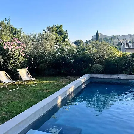 House With Pool, Jacuzzi And Sauna Near Avignon * ヴィルヌーヴ・レ・ザヴィニョン